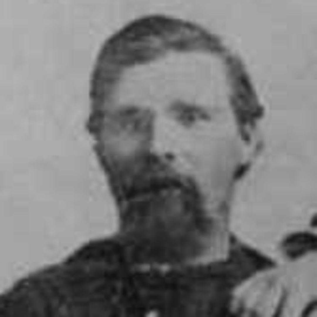 William Andrew Woolsey (1844 - 1909) Profile